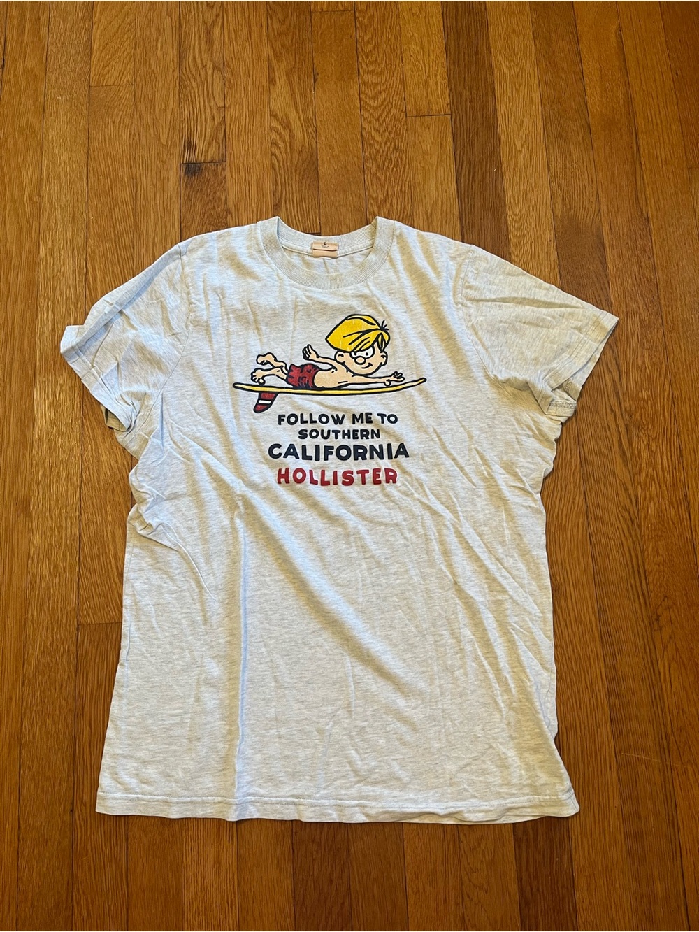 Hollister Co. Follow Me To Southern California Surfing Surfer T Shirt L Read